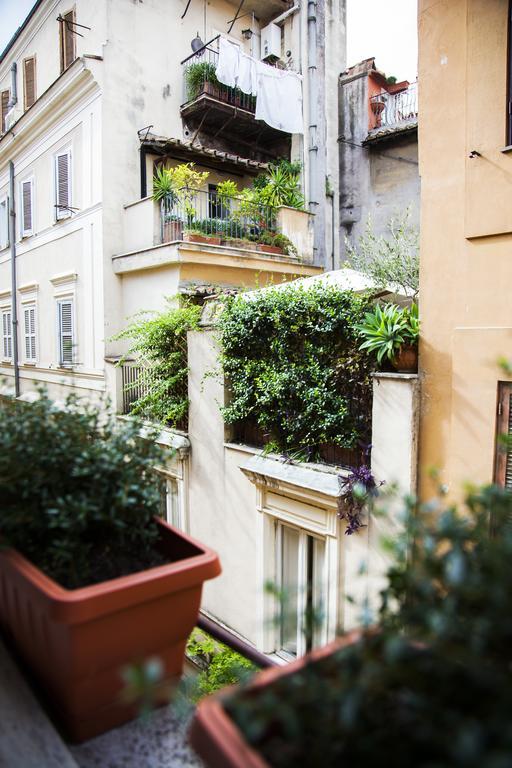 Pgrhome Parione Roma Rom bilde